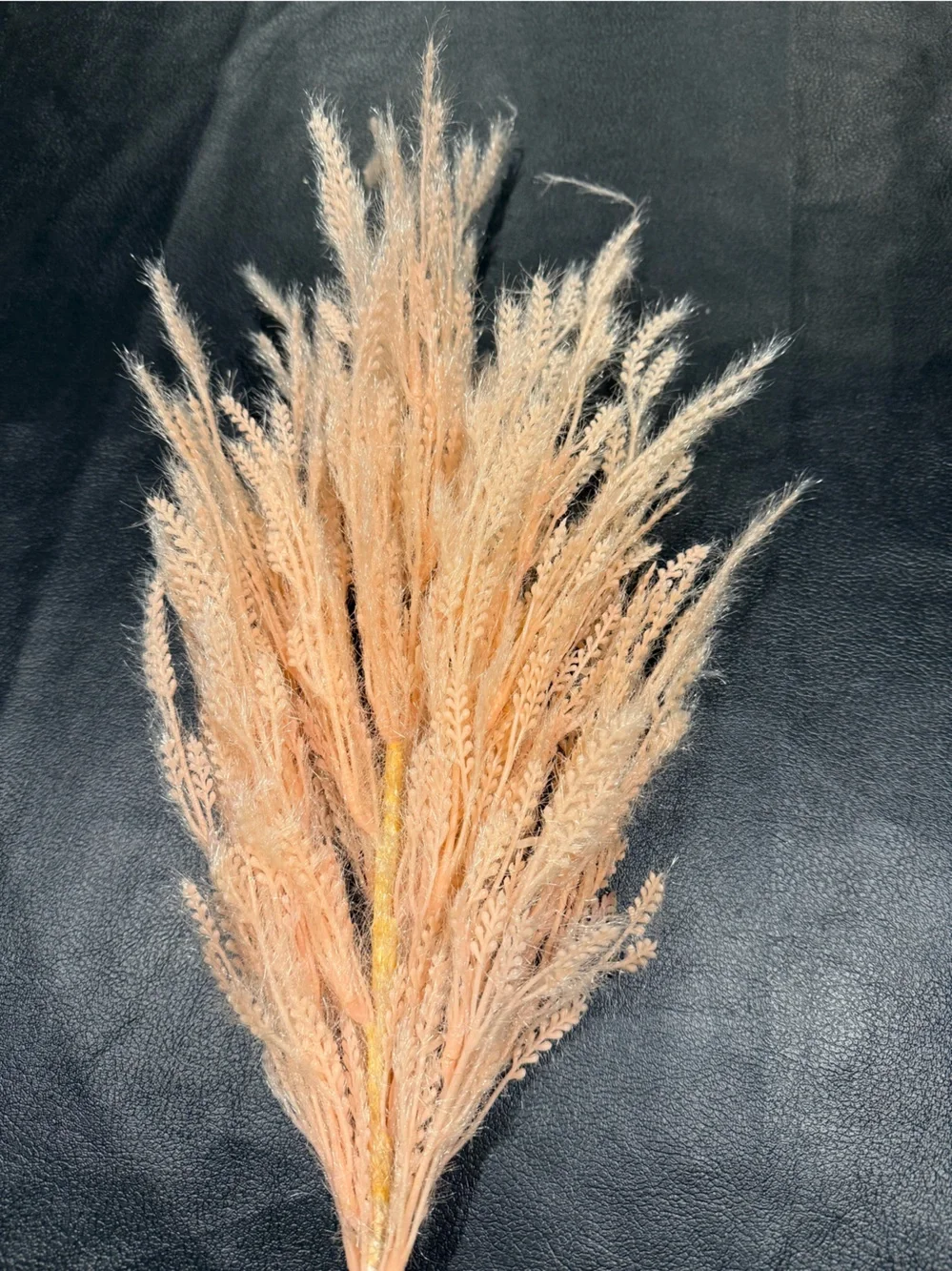 Threshold Dried Wheat Stem Bundle - Peachy Beige (Include 2 Stems) NWT